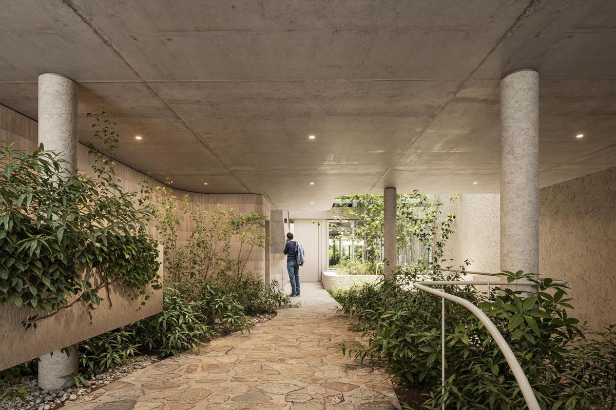 Rostliny pomáhají vytvářet soukromí a zároveň změkčují „tvrdý“ městský charakter domu. (Foto: Grizzo Studio)