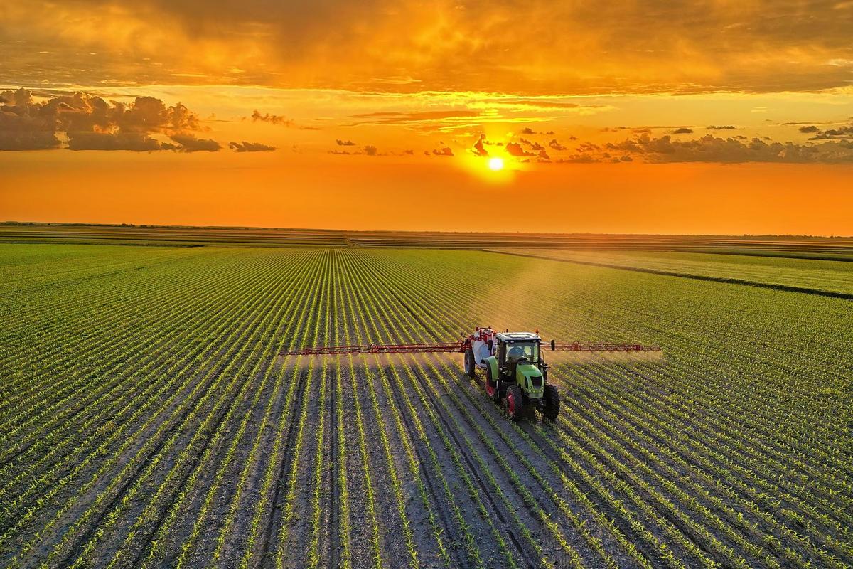 Ošetření pěstovaných plodin pesticidem (Zdroj: Shutterstock)