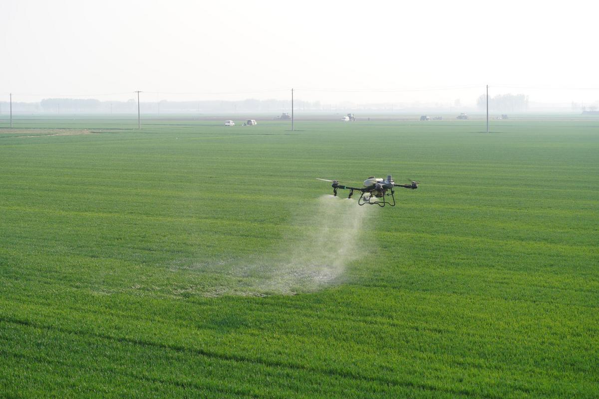 Postřik pole pesticidy dronem (Zdroj: Shutterstock)