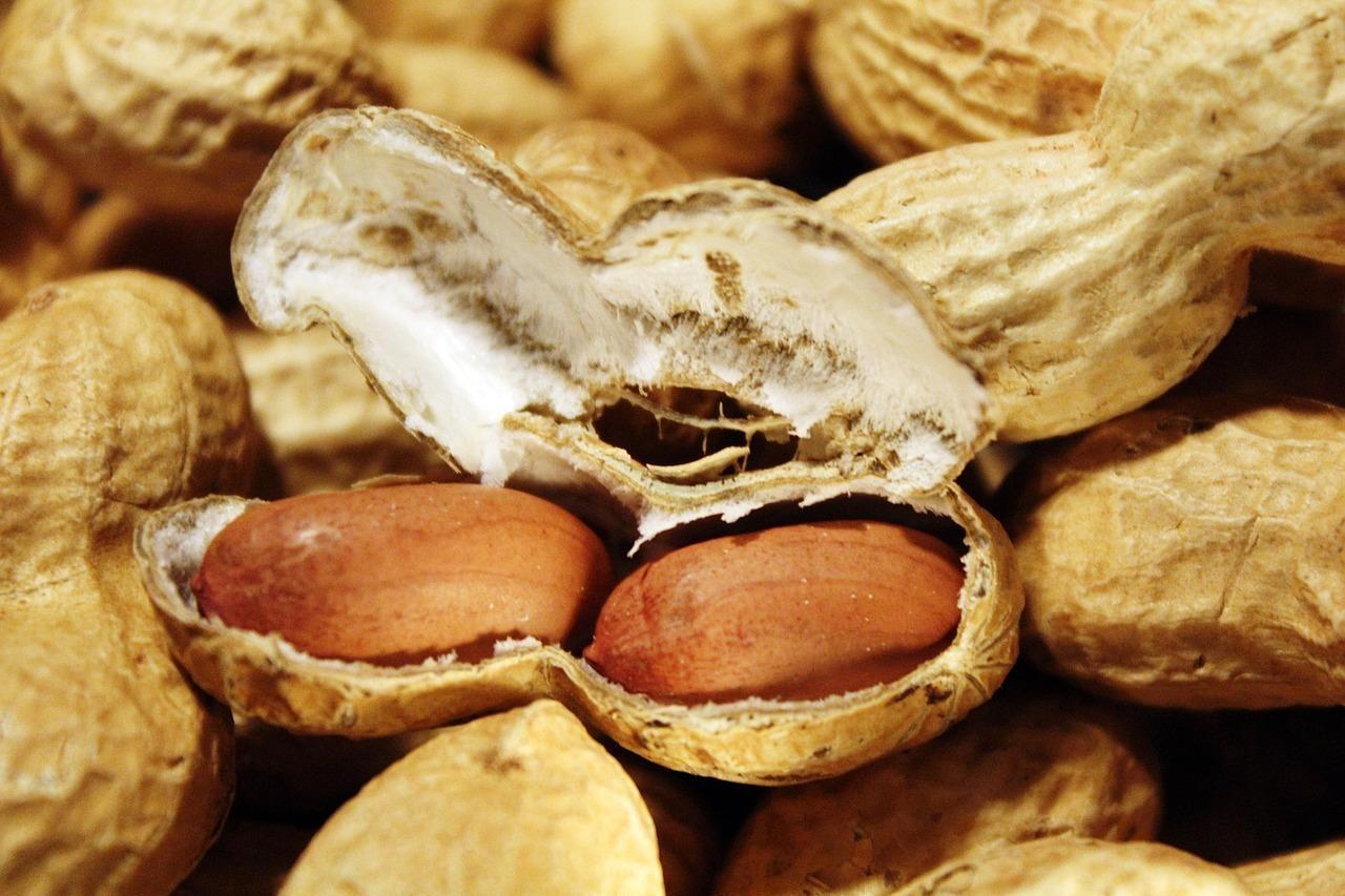 Arašídy neboli burské oříšky, buráky (Zdroj: Shutterstock)