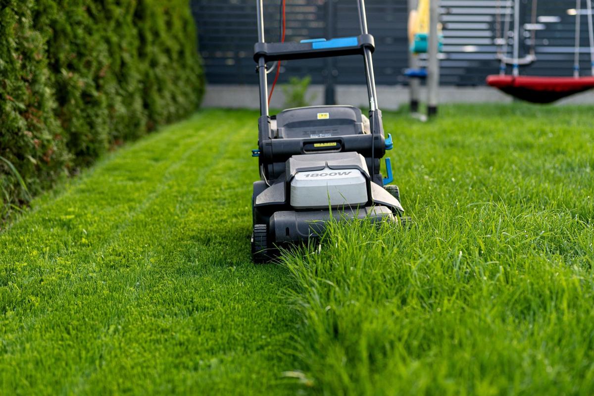 Poslední posečení trávníku na nižší výšku (Zdroj: Shutterstock)