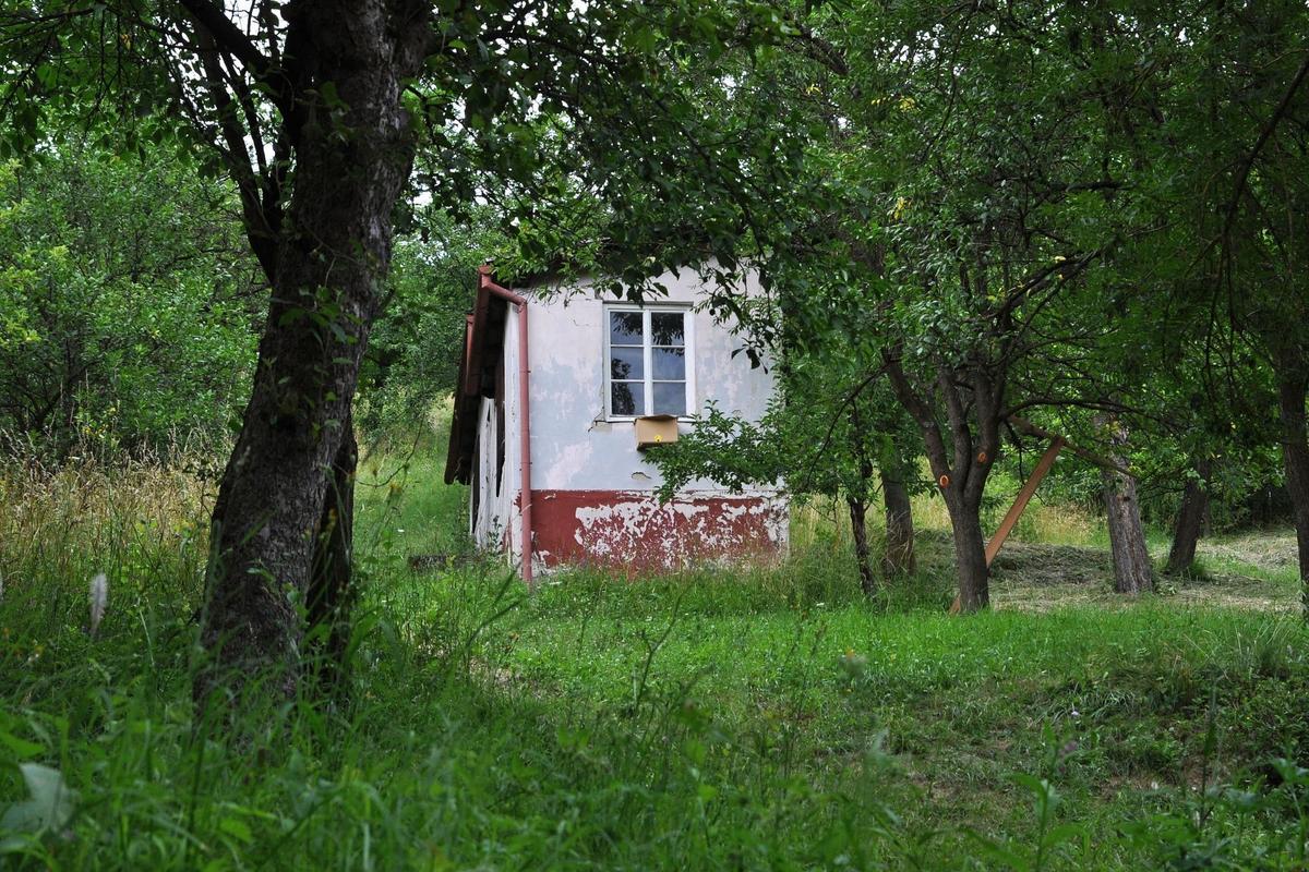 Stará zahrada (Zdroj: Shutterstock)