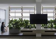 Byt Green House v Singapuru: minimalismus a tropická zeleň na 88 metrech čtverečních