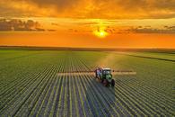 Věčné chemikálie míří na talíře: Nové PFAS pesticidy zachraňují úrodu, ale děsí toxikology