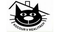 Kocour v realitách