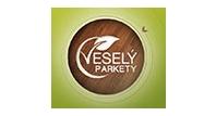 Daniel Veselý - Parkety Veselý