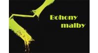 Daniel Bohony