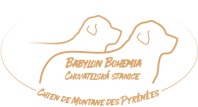 Romana Petrůjová - Chovatelská stanice psů Babylon Bohemia
