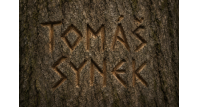 Tomáš Synek