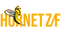 Zdeněk Fried - Hornet Z/F