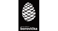 Karel Borovička