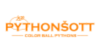 Petr Šott - Pythonšott