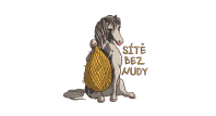 Daniela Němcová - Sítě bez nudy
