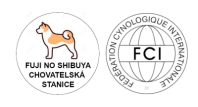 Žaneta Šimíčková - Fuji No Shibuya