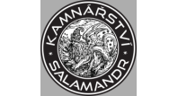 Aleš Novotný - Kamnářství Salamandr