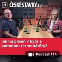 114. díl - Plíseň v bytě: proč vzniká a jak ji řešit? Pomohou termoizolační nátěry?