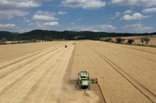 Méně ideologie, více dat a péče o půdu: Pět velkých investorů zakládá alianci Orbis Terra