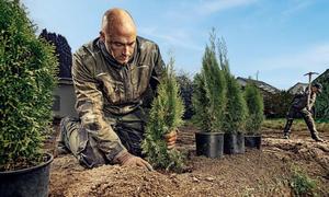 Aktuální trendy a praktické tipy, jak vybrat plot
