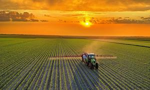 Věčné chemikálie míří na talíře: Nové PFAS pesticidy zachraňují úrodu, ale děsí toxikology