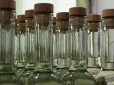 Do palírny stačí dovézt dozrálé ovoce