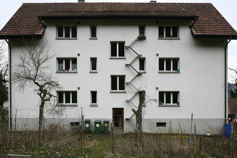 Žebříky pro kočky (Zdroj: Wikipedie, Foto: Brigitte Schuster/CC BY-SA-NC 4.0)