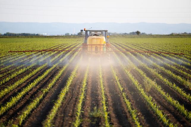 Ošetření pěstovaných plodin pesticidem (Zdroj: Shutterstock)