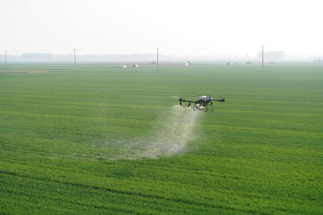 Postřik pole pesticidy dronem (Zdroj: Shutterstock)