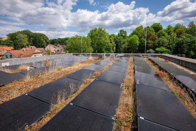 Šest budov je rozděleno do tří energetických skupin, které si mezi sebou sdílejí vyrobenou elektřinu (Foto: Vojta Herout)