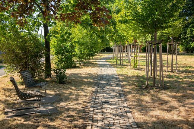 Park Řehořova  (Foto: Vojta Herout)