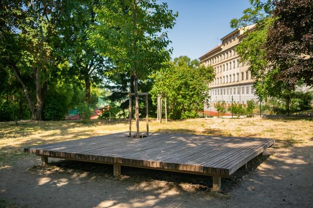  Kde dřív stála neprostupná hradba zeleně, jsou dnes vstupy, průhledy a lavičky (Foto: Vojta Herout)