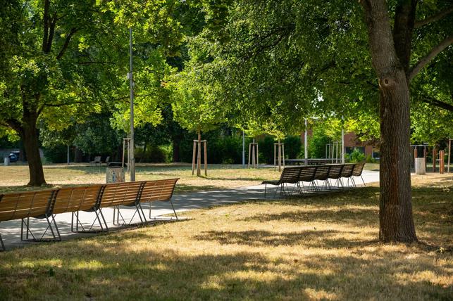 Park Řehořova (Foto: Vojta Herout)