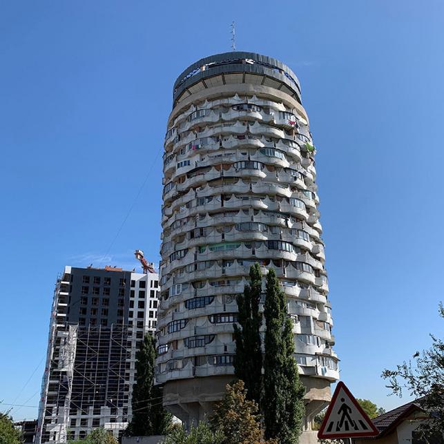 Romaška (Zdroj: Wikipedie, foto: Pet Helms / CC BY-SA 4.0)