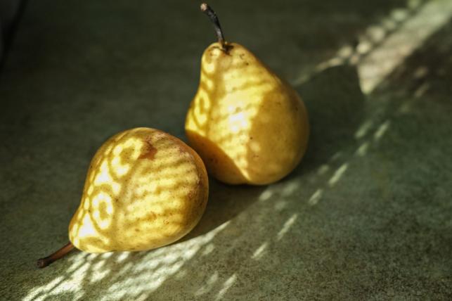 Zralé hrušky (Zdroj: Shutterstock)