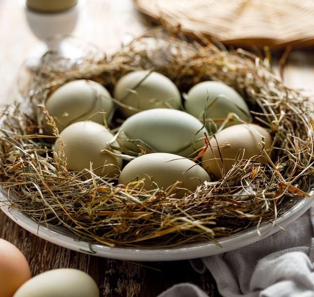 Barevná vajíčka (Foto: Shutterstock)