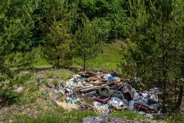Černá skládka v přírodě (Zdroj: Shutterstock)