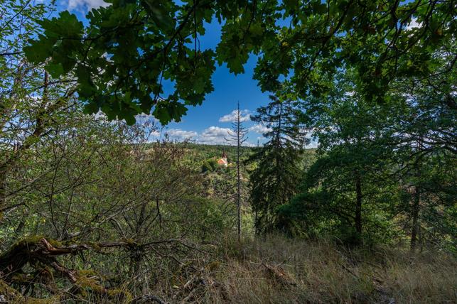 Stará zahrada - problematické může být napojení na les (Zdroj: Shutterstock)
