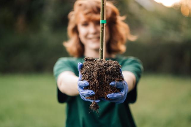 Výsadbou péče o stromy teprve začíná (Zdroj: Shutterstock)