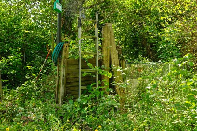 Destruktivní zanedbanost a nečinnost (Zdroj: Shutterstock)