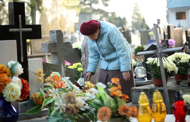 Chryzantémy v květináčích na hřbitově před Dušičkami snášejí chlad a při otrhávání odkvetlých květů kvetou do mrazů. (Zdroj: Shutterstock)
