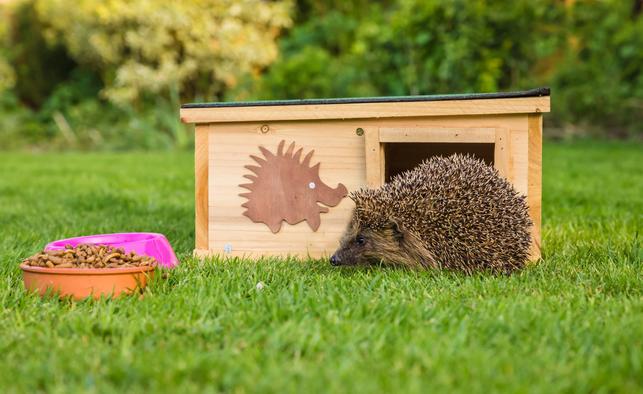 Stačí jednoduchá bedýnka z prken. Izolovat ji ale musíte i zespoda. Přikrmujte granulemi (Ilustrační foto: Shutterstock)
